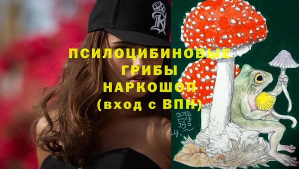 марки nbome Ладушкин