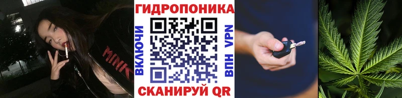 Канабис конопля  Нея 
